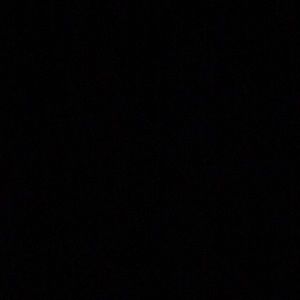 Meet your Posher, Cheyenne